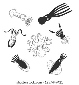 Set of cute sea monsters, cephalopods (octopus, cuttlefish, squid). Black and white hand drawing vector image.
