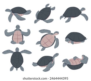 Conjunto de lindo mar o océano tortuga animal en diferentes posturas de estilo plano, Ilustración vectorial aislada sobre fondo blanco. Elemento de diseño decorativo, naturaleza y vida silvestre, animal acuático