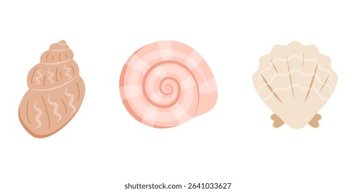 Set of cute sea shells, mollusks. Underwater shells of different shapes. Tropical beach shells. Vector illustration