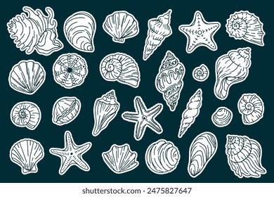 Conjunto de lindas conchas de mar pegatina. Colección de conchas marinas estilo doodle de moda. Concha submarina concha marina concha molusco acuático. A un lado hay una espiral de caracoles, animales marinos. Ilustración vectorial