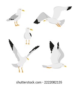 Set of cute seagulls isolated on white background. Vector illustration of sea birds.