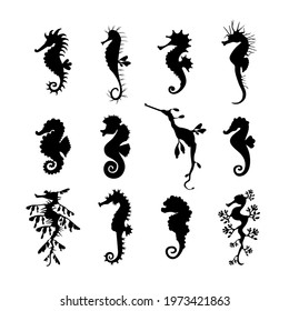 Set cute seahorses icons. Black seahorses with different silhouette on white background. For festive card, logo, children, pattern, tattoo, decorative, creative concept. Vector illustration