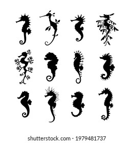 Set cute seahorses icons. Black seahorses with different silhouette on white background. For festive card, logo, children, pattern, tattoo, decorative, creative concept. Vector illustration