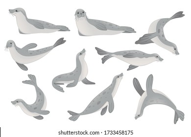 Set of cute seal cartoon animal design flat vector illustration isolated on white background