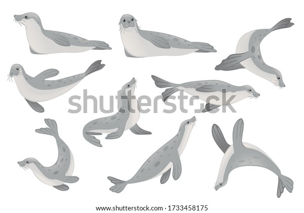 Set of cute seal cartoon\
animal design flat vector illustration isolated on white\
background