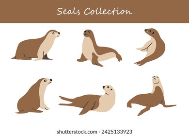 Set of cute seals in different poses. Vector illustration.