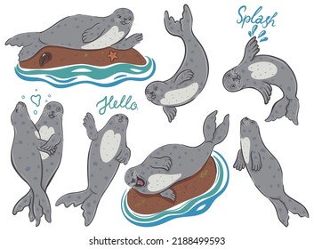 Set of cute seals isolated on white background. Vector graphics.
