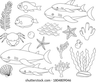 Set cute shark and sea elements fish crab algae corals seashell starfish in black and white color vector illustration