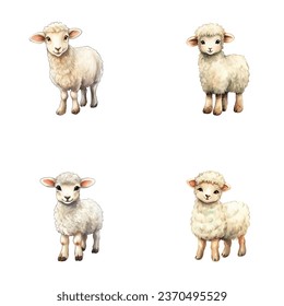 set of cute sheep watercolor illustrations for printing on baby clothes, sticker, postcards, baby showers, games and books, safari jungle animals vector