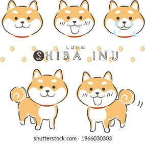 Set of cute Shiba Inu. Flat vector cartoon illustration. Translation : "Shiba Inu" in Japanese