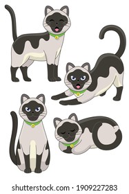 set of cute siamese cat