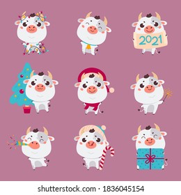 Set of cute silver cartoon bulls and cows.New year ox with various festive attributes.Chinese new year 2021 symbol.Set of holiday animals for the design of calendars,cards,advertising.Vector 