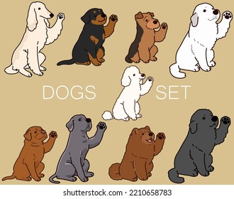 Set of cute and simple dogs (Afghan Hound, Rottweiler, Welsh Terrier, Great Pyrenees, Poodle, French Mastiff, Great Dane, Chow Chow, Newfoundland)