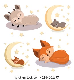 A set of cute sleeping animals. A set of vector images with wild animals