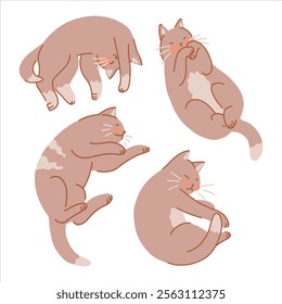 Set of cute sleeping cats. Pet animals, kitten collection. Flat vector illustration isolated on white.