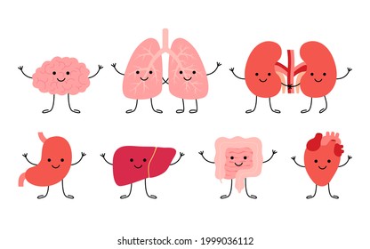 Set Cute Smiling Happy Human Healthy Strong Organs Characters.  Brain, Lungs, Kidneys, Stomach, Liver, Gut Intestine And Heart Organs. Vector Cartoon Kawaii Illustration