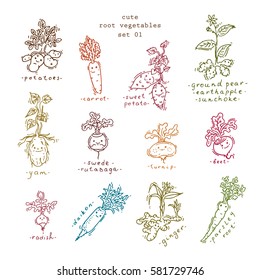 Set of cute smiling root vegetables - free hand drawing. Educational illustration for kids