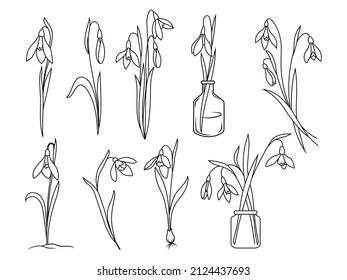 Set of cute snowdrop. Collection of spring flowers in vase. Botany. Flowering plants. Vector illustration isolated on white background.