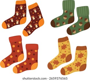 Conjunto de unos calcetines lindos en un tema de otoño. Cuatro pares de calcetines acogedores aislados sobre fondo blanco