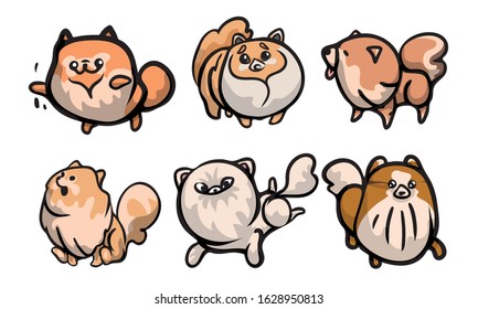 Set of cute spitz dog characters in different actions. Vector illustration in flat cartoon style.