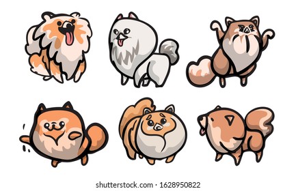 Set of cute spitz dog characters in different actions. Vector illustration in flat cartoon style.