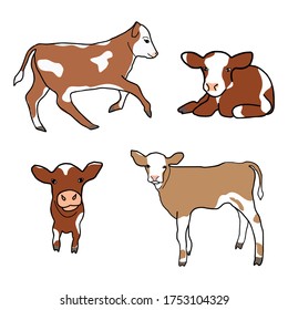 Set of cute spotted calf. Little cow runs, sniffs, walks, lies. Vector decor element for kids t-shirt design. Isolated animals on the white background.