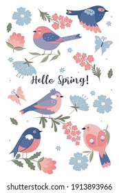 Set of cute spring birds isolated on white background. Vector graphics.