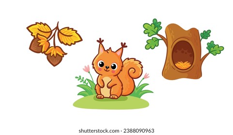 Set of cute squirrel character, hollow, nuts.  Wild animal and their homes, favorite food in cartoon style. Children design vector element  for activity books.
