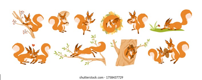 Set of cute squirrel character vector flat illustration. Collection of funny wild animal parent, child and couple isolated on white. Colorful forest inhabitant jumping, sleeping and creeping