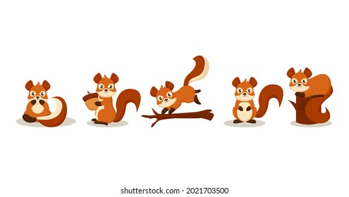 Set of cute squirrel mascot design