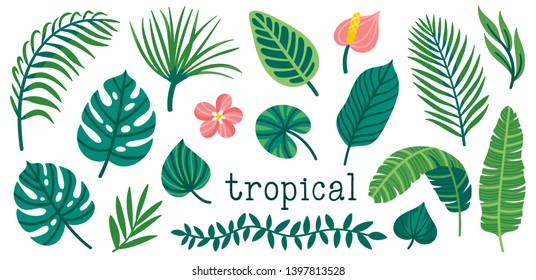 Set of cute summer palm leaves and flowers. Bright summertime poster. Collection of scrapbooking elements for beach party with exotic plants.