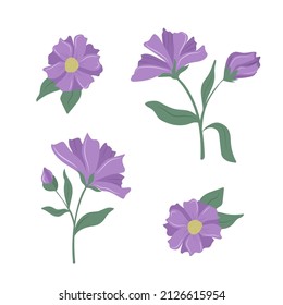 Set of cute tenderness violet flowers. Vector elements isolated on white background. Botanical illustration for fabric design, greeting card, decoration, scrapbooking and much more.