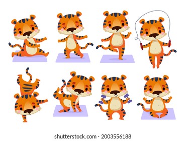 A set of cute tigers who go in for sports, yoga and fitness. The tiger stands in different assana poses and monitors its health. Cartoon cheerful character, symbol of 2022 new year. Isolate on white