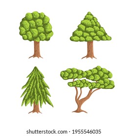 Set of cute trees and spruces with a lush green foliage and roots. Isolated objects in the white background. Flat style illustration.