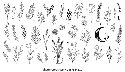 Hand Sketched Vector Vintage Elements Laurels Stock Vector (Royalty ...