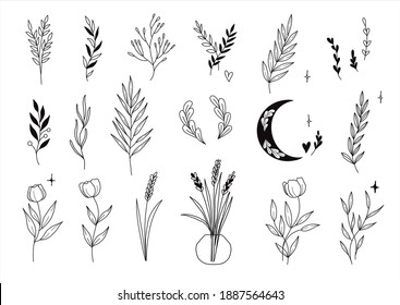 Set of cute trendy mystical style hand drawn flowers, branches, leaves. Vector line arrangements for stories highlights, greeting card or invitation amd logo design