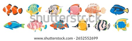 Set of cute tropical bright fish. Underwater coral reef characters, exotic fish. Tropical saltwater fish, clownfish, swordfish, emperor angelfish flat vector illustration isolated on white background.