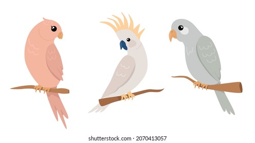 Set of cute tropical parrots in flat style. Vector illustration of parrot on white background