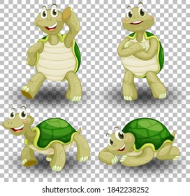 Set of cute turtle on transparent background illustration