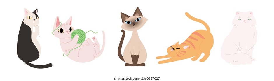 Set Cute various cat breed sitting  prowling  licking paw  play and yarn ball  Black   white  Cow cat  Siamese  Orange cat  Sphynx  Persian  Flat vector illustration isolated white background