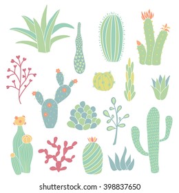 set of cute vector cacti illustration on isolated background