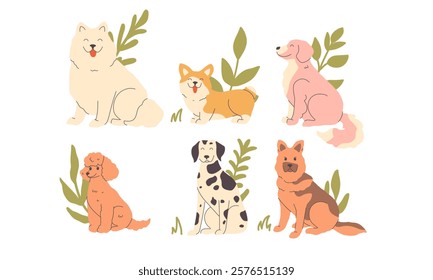 Set of cute vector dogs in flat style. Poodle, sheepdog, samoyed, retriever, corgi, dalmatian