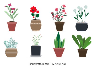 Set of cute vector flower pots for home decor. Flat vector illustration in modern design. Eight isolated ornamental plants with flowers or large leaves. Image for home interior decoration, postcards