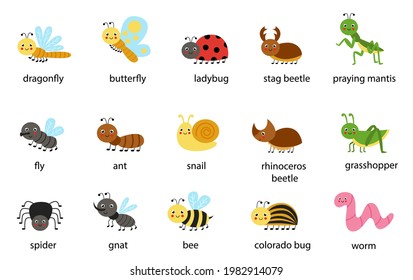 Set of cute vector insects with their names. Collection of childish illustrations.