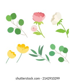 Set of cute vector peonies flowers, eucalyptus twigs on isolated background.