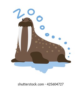 Set of Cute Vector Zoo Animal. Kawaii eyes and style. Doodle illustration. Walrus