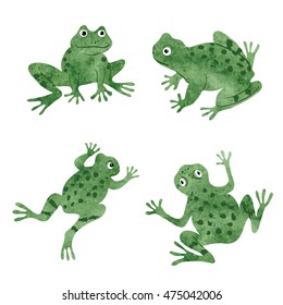 Set of cute watercolor frogs isolated on white. Vector illustration. 