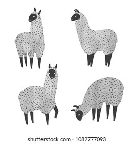 Llama de color agua tierno. Ilustración vectorial de los lamas dibujados a mano aislados en blanco.