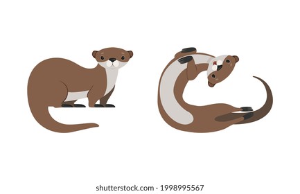 Set of Cute Weasel, Adorable Funny Otter Animal Cartoon Vector Illustration