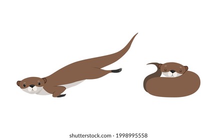 Set of Cute Weasel in Various Poses, Adorable Funny Wild Animal in Action Cartoon Vector Illustration